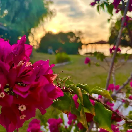 Genari Garden View Retreat Apartment
