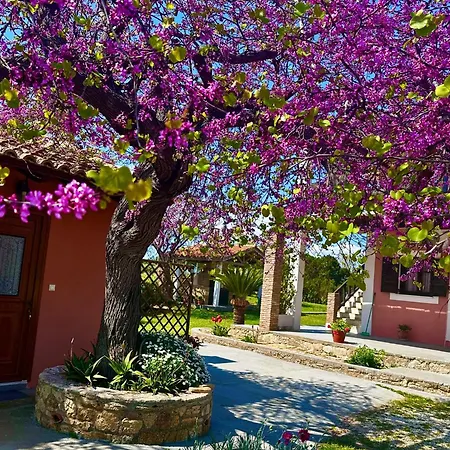 Genari Garden View Retreat *