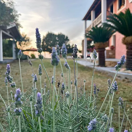Genari Garden View Retreat Korakochori