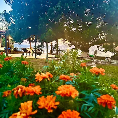 Genari Garden View Retreat * Korakochori