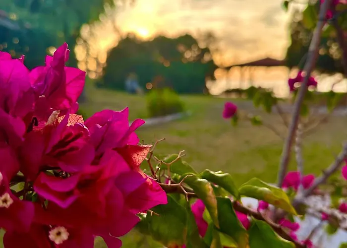 Genari Garden View Retreat Апартаменты