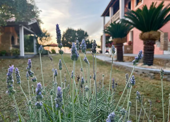 Genari Garden View Retreat Korakochori